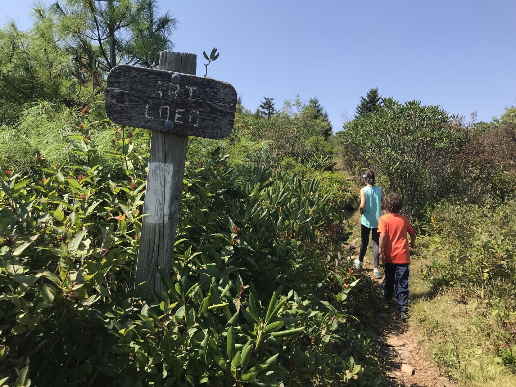 art loeb trail sign 1.jpg